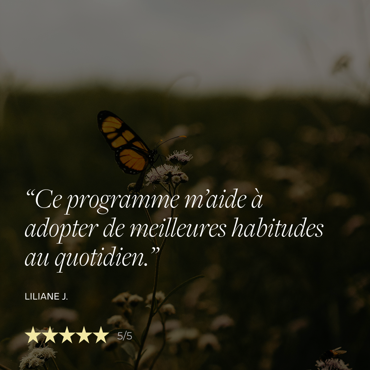 Programme Perte de poids – Hypnose guidée 7 jours